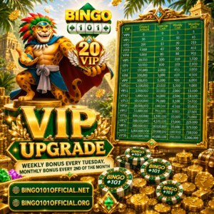 bingo 101 vip