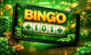 Bingo 101 login screen on an Android phone with mobile number and OTP