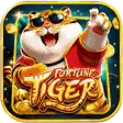 Fortune Tiger game icon on Bingo 101