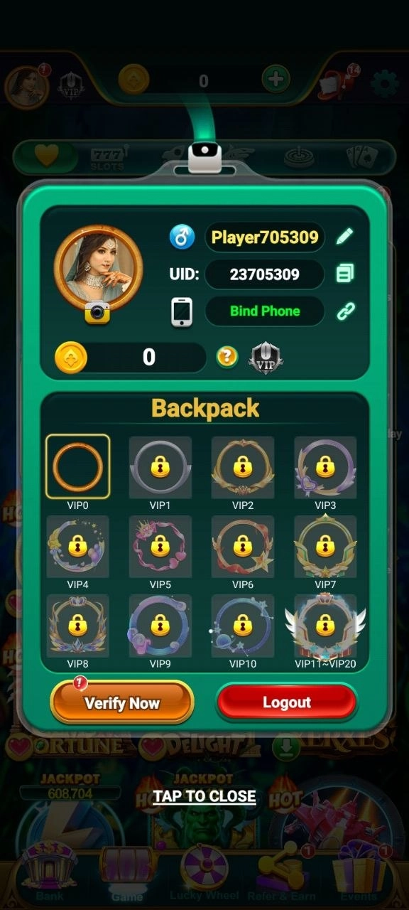 Bingo 101 VIP status screen showing the player's current level and the VIP0 to VIP20 tiers